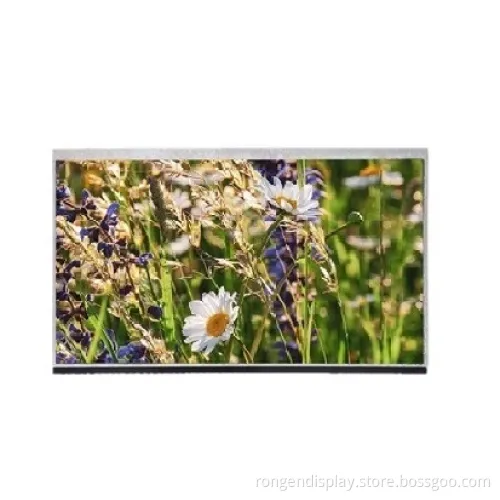 Ronen 500CD/M2 11.6inch LCD Display for LCD Notebook Screen